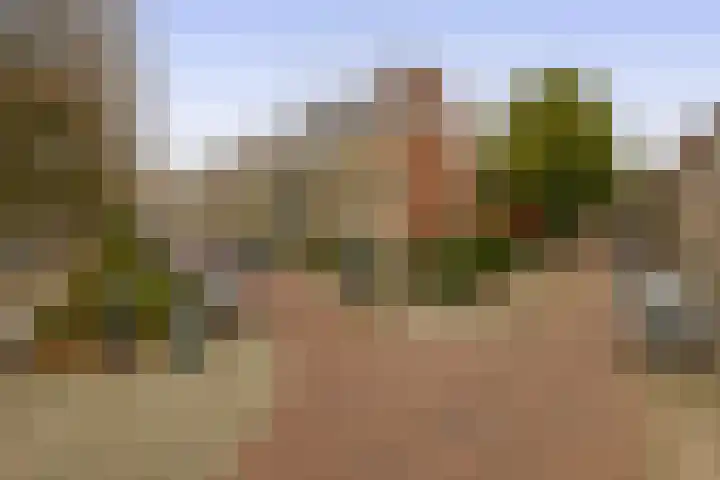 Bentincklaan 27 A Rotterdam thumbnail 8