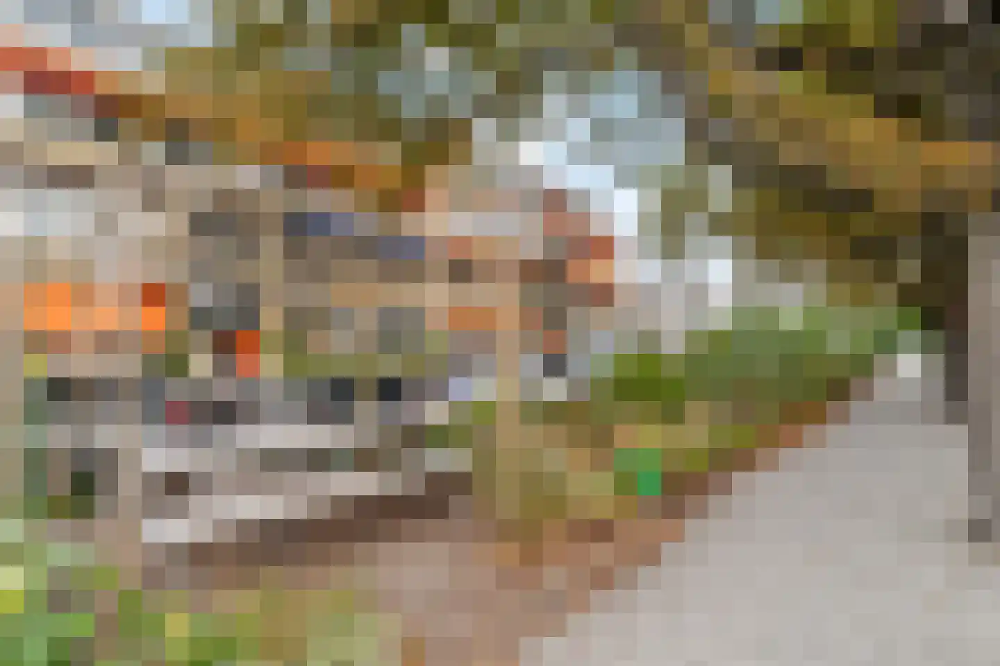 Bentincklaan 27 C Rotterdam thumbnail 37