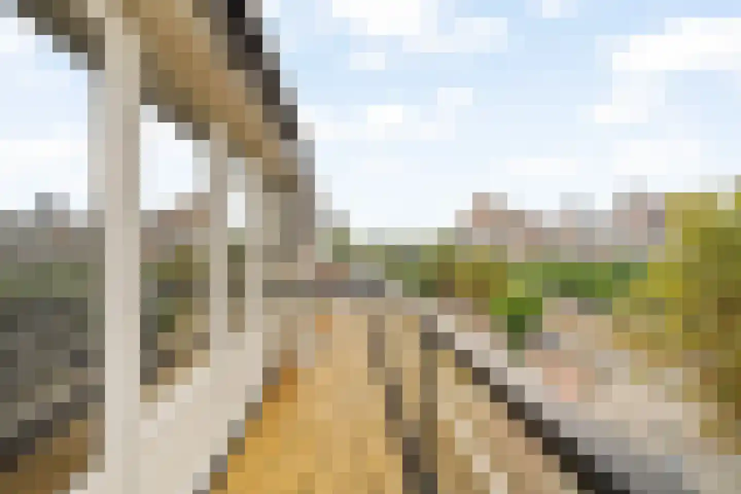 Bentincklaan 27 C Rotterdam thumbnail 6