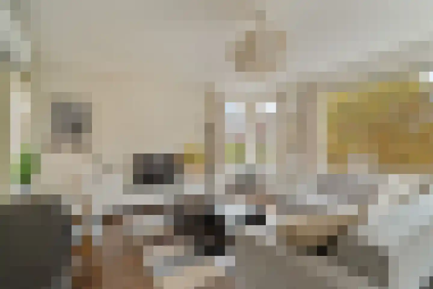 Bentincklaan 27 C Rotterdam thumbnail 8