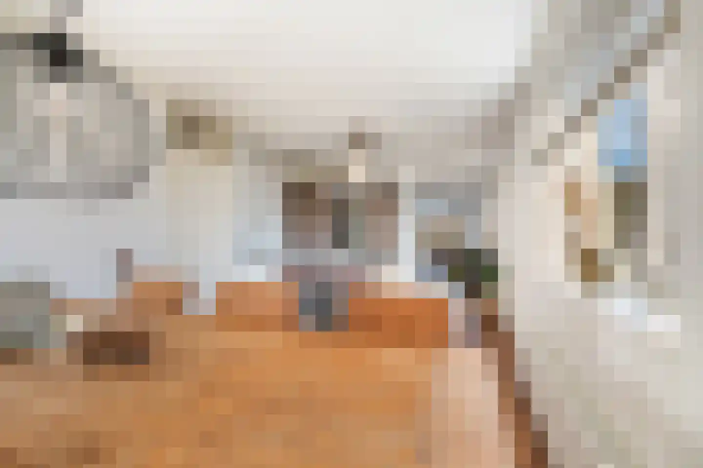 Bentincklaan 302 Rotterdam thumbnail 22