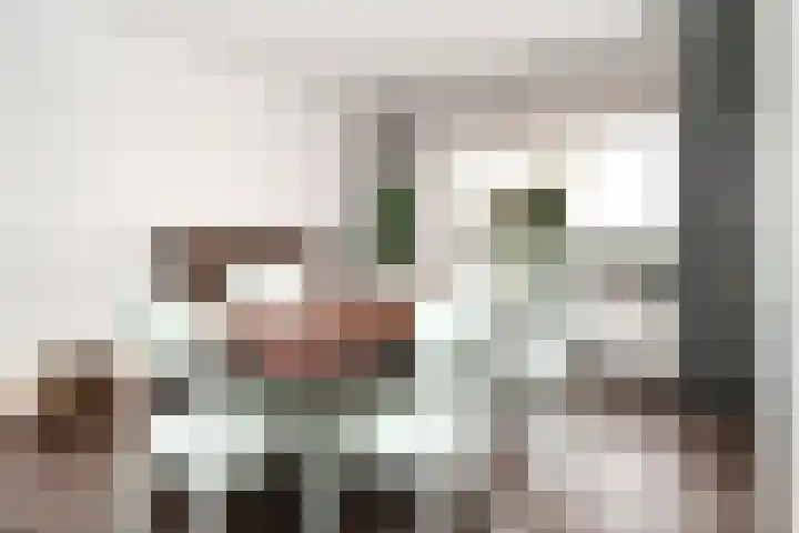 Bentincklaan 342 Rotterdam thumbnail 14
