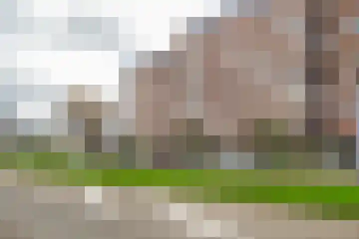 Bentincklaan 342 Rotterdam thumbnail 25