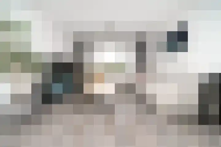 Bentincklaan 342 Rotterdam thumbnail 7