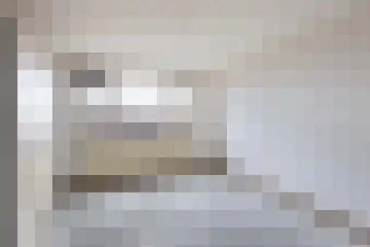 Bentincklaan 384 Rotterdam thumbnail 11