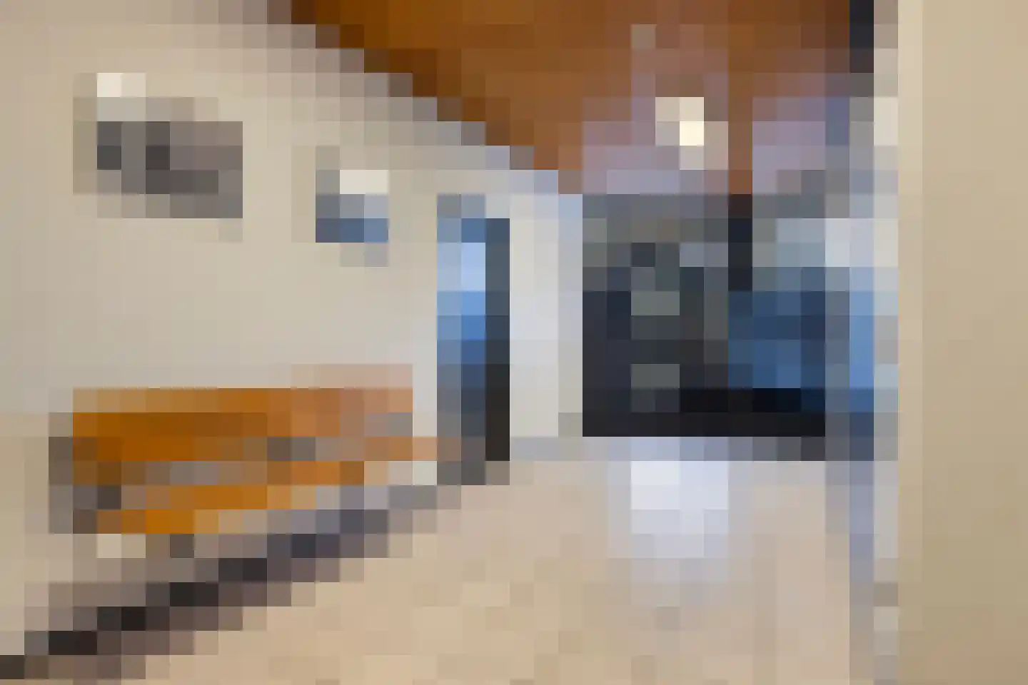 Bentincklaan 384 Rotterdam thumbnail 17