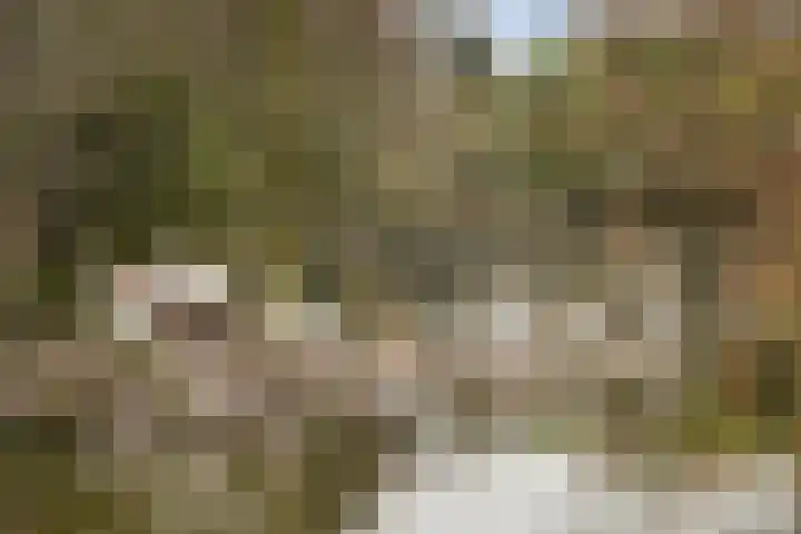 Bentincklaan 384 Rotterdam thumbnail 22