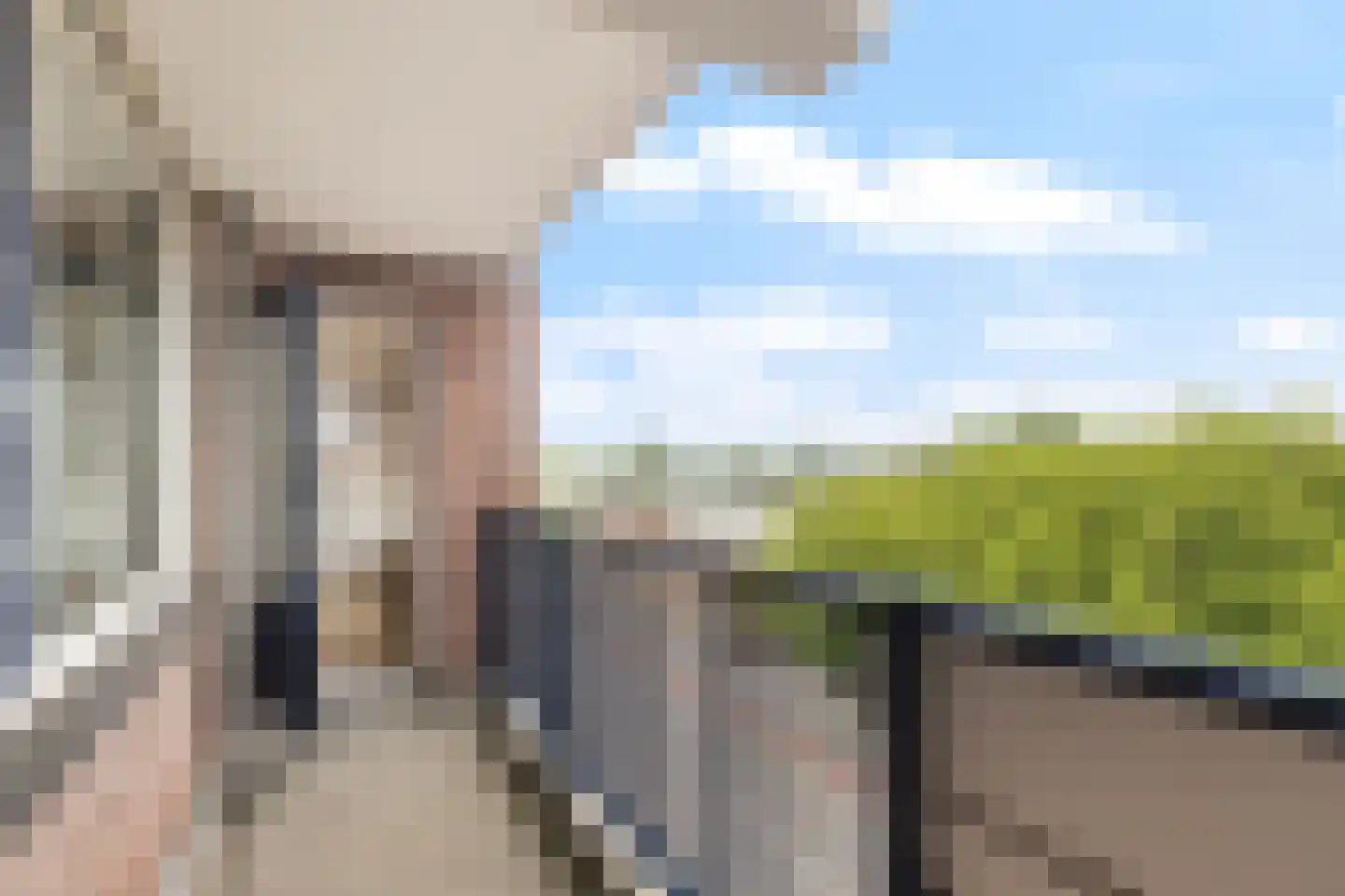 Bentincklaan 384 Rotterdam thumbnail 4