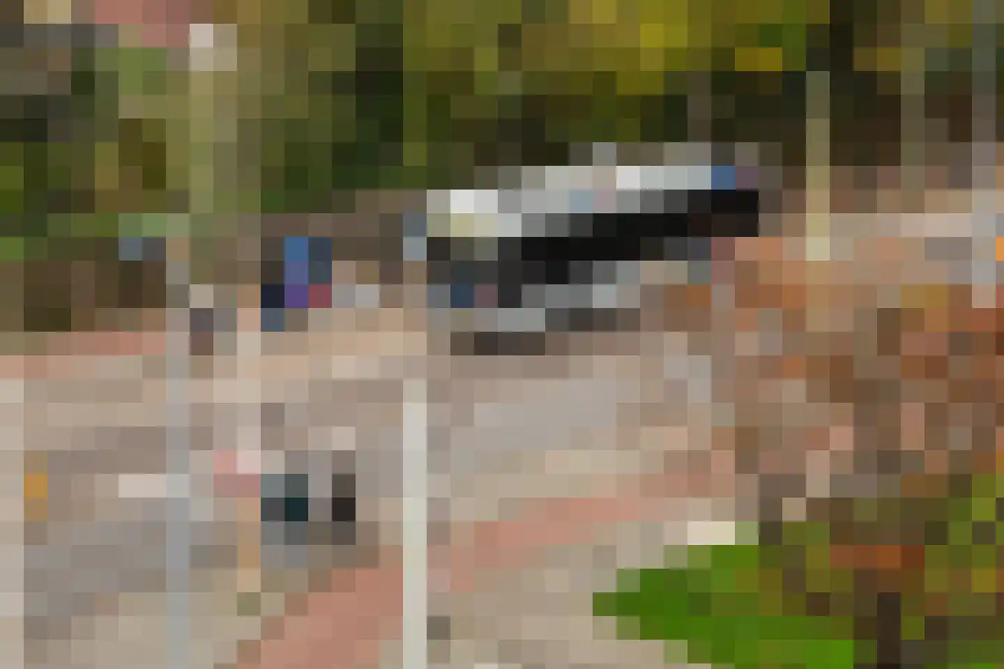 Bentincklaan 386 Rotterdam thumbnail 19