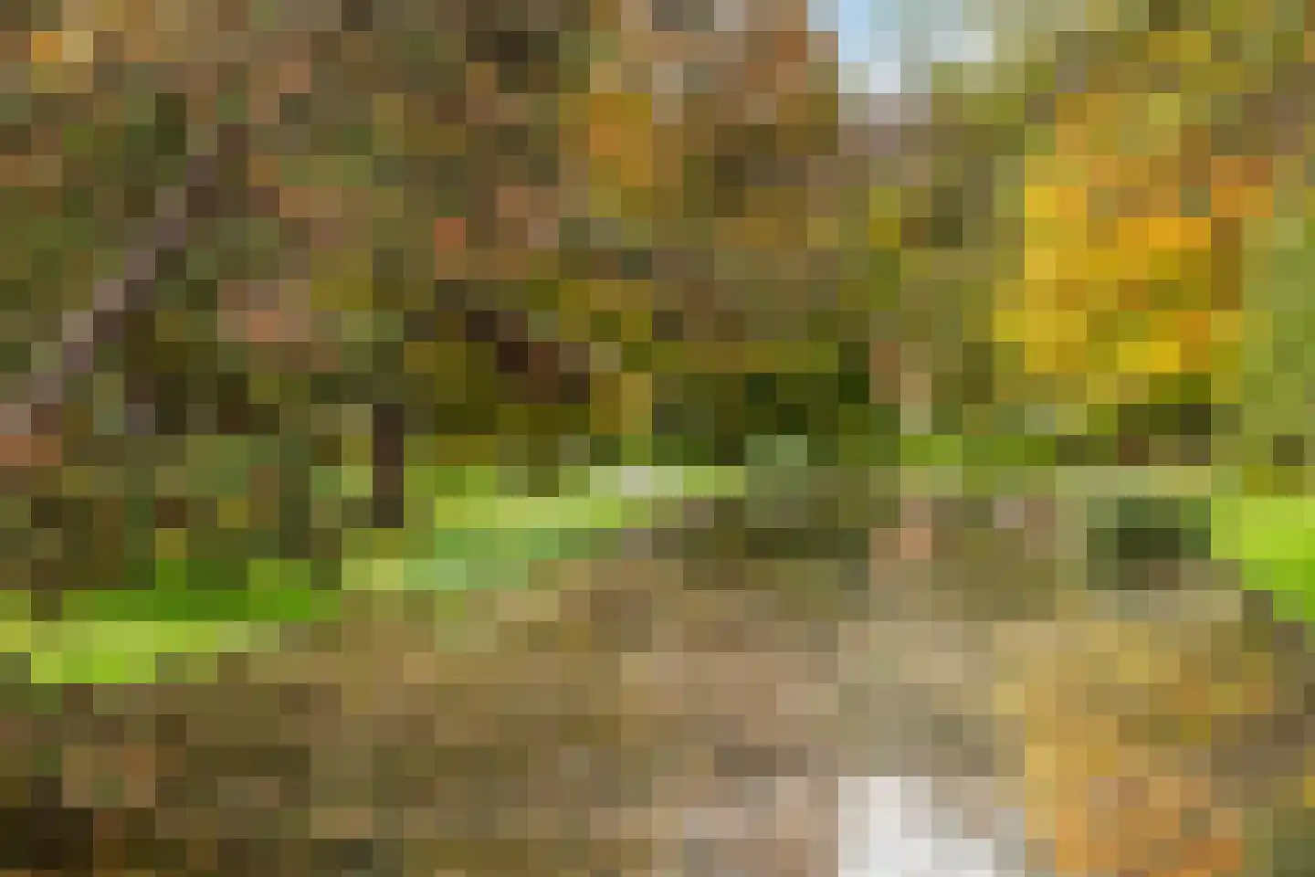 Bentincklaan 386 Rotterdam thumbnail 23