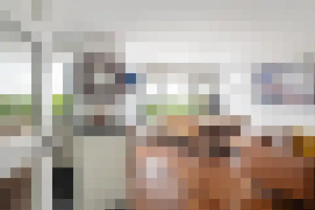 Bentincklaan 388 Rotterdam thumbnail 6