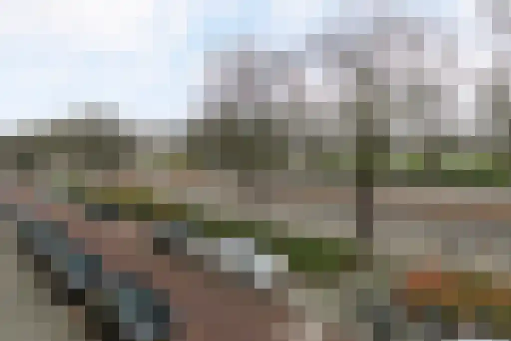 Bentincklaan 59 A Rotterdam thumbnail 16