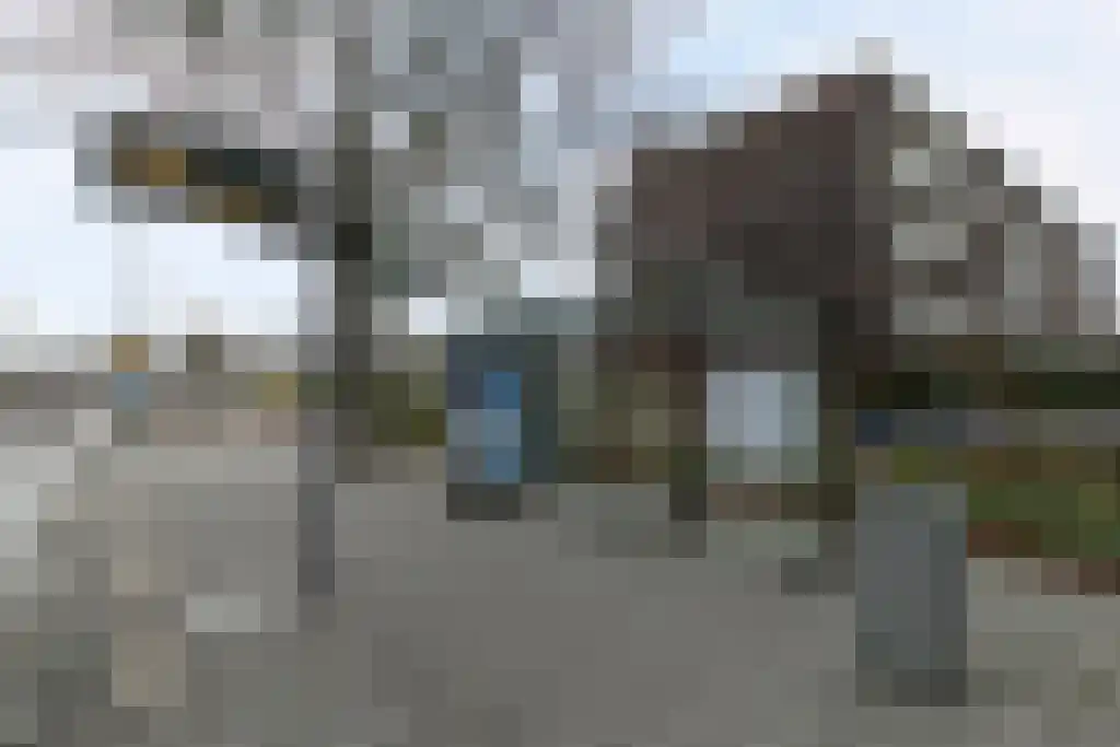 Bentincklaan 59 B Rotterdam thumbnail 21