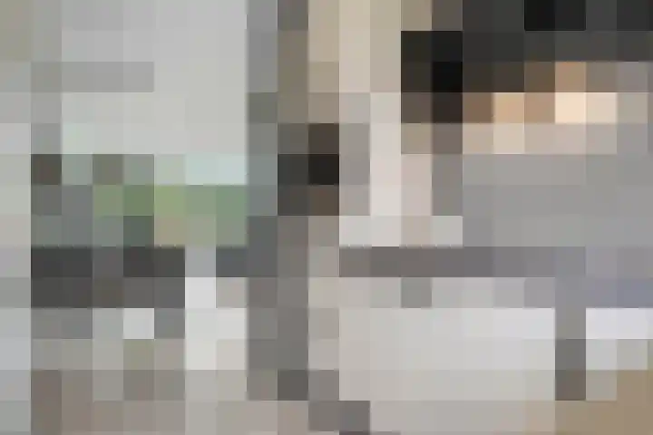 Bentinckmarke 21 Zwolle thumbnail 14