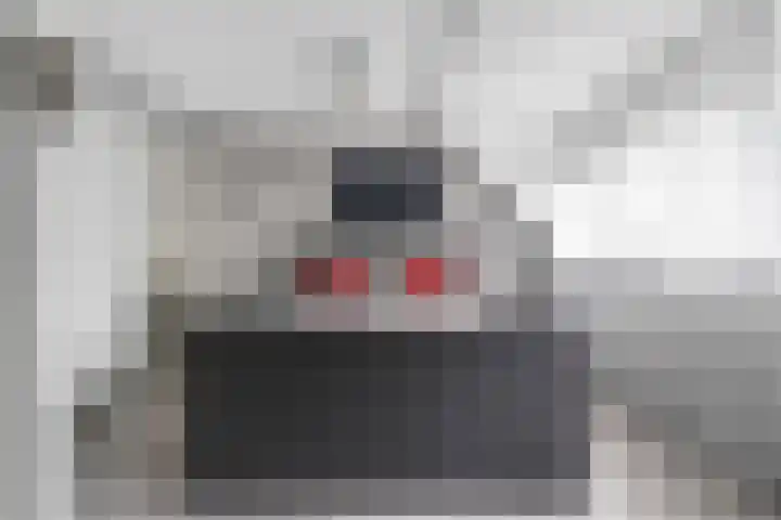 Bentinckmarke 21 Zwolle thumbnail 18
