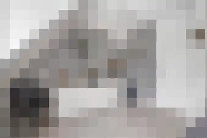 Bentinckmarke 21 Zwolle thumbnail 19