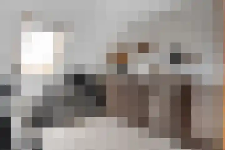 Bentinckmarke 21 Zwolle thumbnail 21