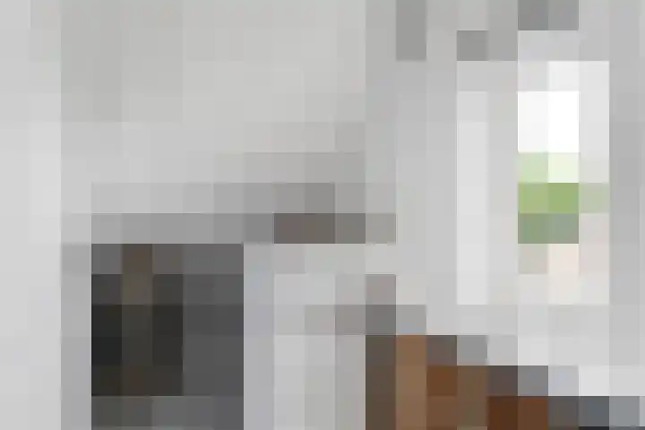 Bentinckmarke 21 Zwolle thumbnail 25