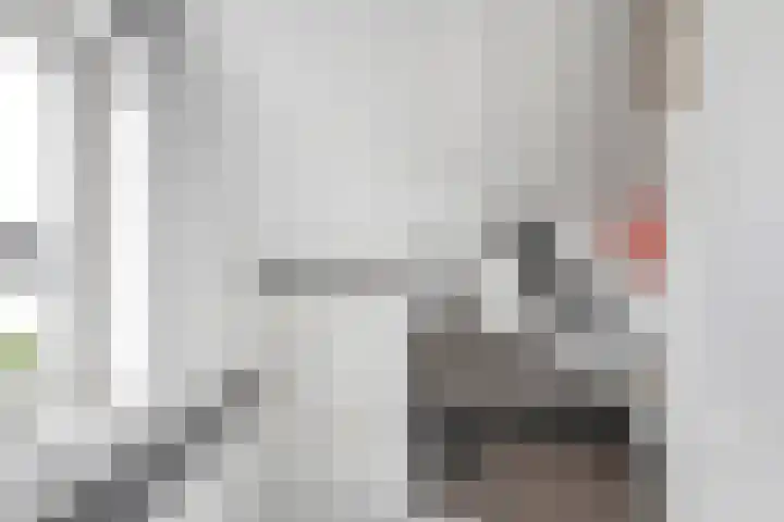 Bentinckmarke 21 Zwolle thumbnail 26