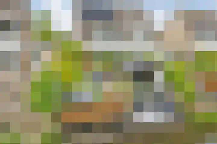 Bentinckmarke 21 Zwolle thumbnail 29