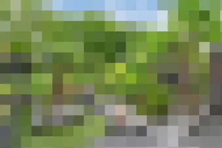 Bentinckmarke 21 Zwolle thumbnail 30
