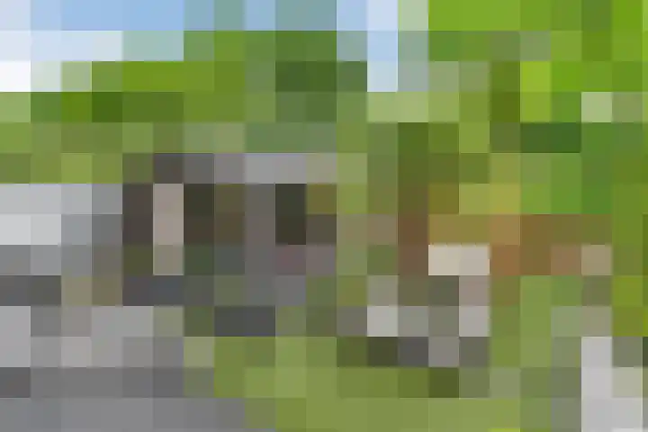 Bentinckmarke 21 Zwolle thumbnail 31