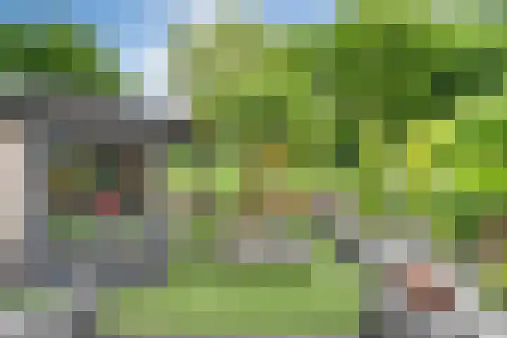Bentinckmarke 21 Zwolle thumbnail 32
