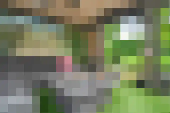 Bentinckmarke 21 Zwolle thumbnail 33