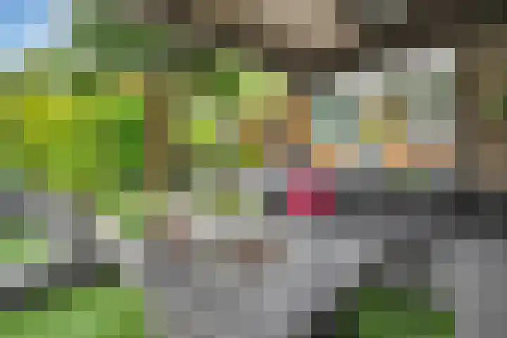 Bentinckmarke 21 Zwolle thumbnail 34