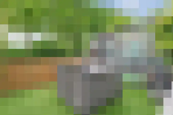 Bentinckmarke 21 Zwolle thumbnail 35
