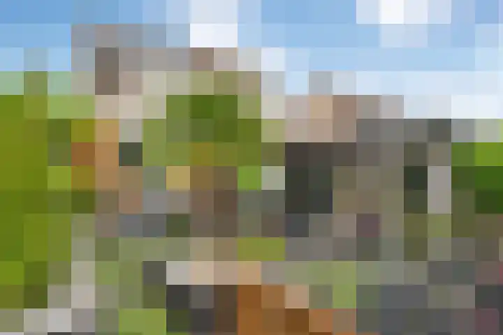 Bentinckmarke 21 Zwolle thumbnail 36