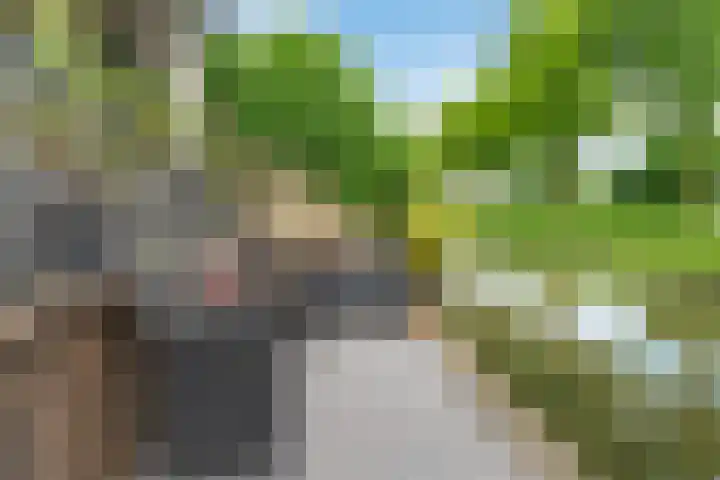 Bentinckmarke 21 Zwolle thumbnail 37