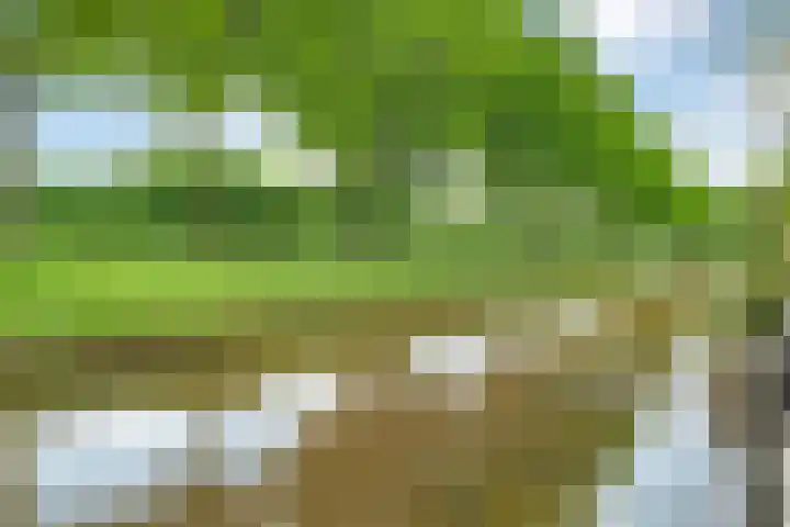 Bentinckmarke 21 Zwolle thumbnail 38