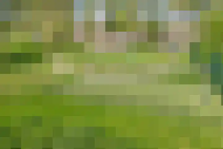 Bentinckmarke 21 Zwolle thumbnail 39