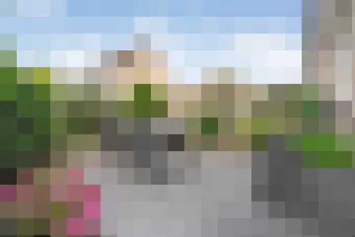 Bentinckmarke 21 Zwolle thumbnail 4