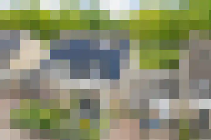 Bentinckmarke 21 Zwolle thumbnail 47