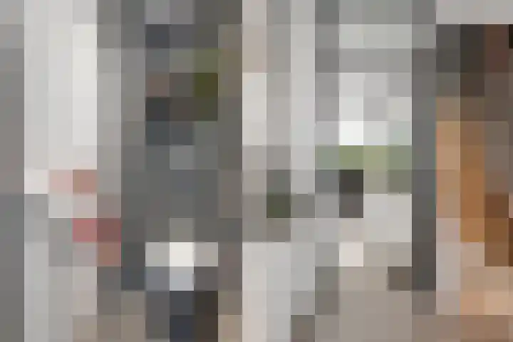 Bentinckmarke 21 Zwolle thumbnail 7