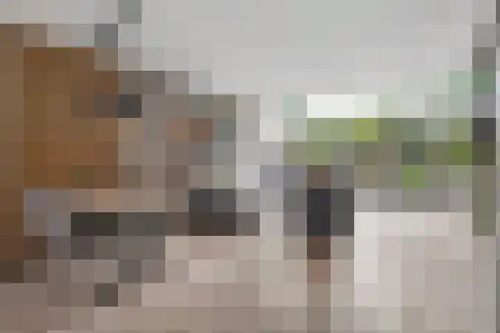 Bentinckmarke 21 Zwolle thumbnail 8