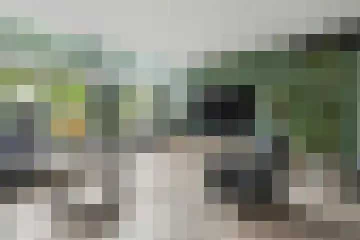 Bentinckmarke 21 Zwolle thumbnail 9