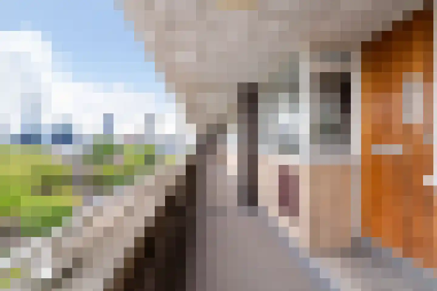 Bentinckplein 100 Rotterdam thumbnail 47