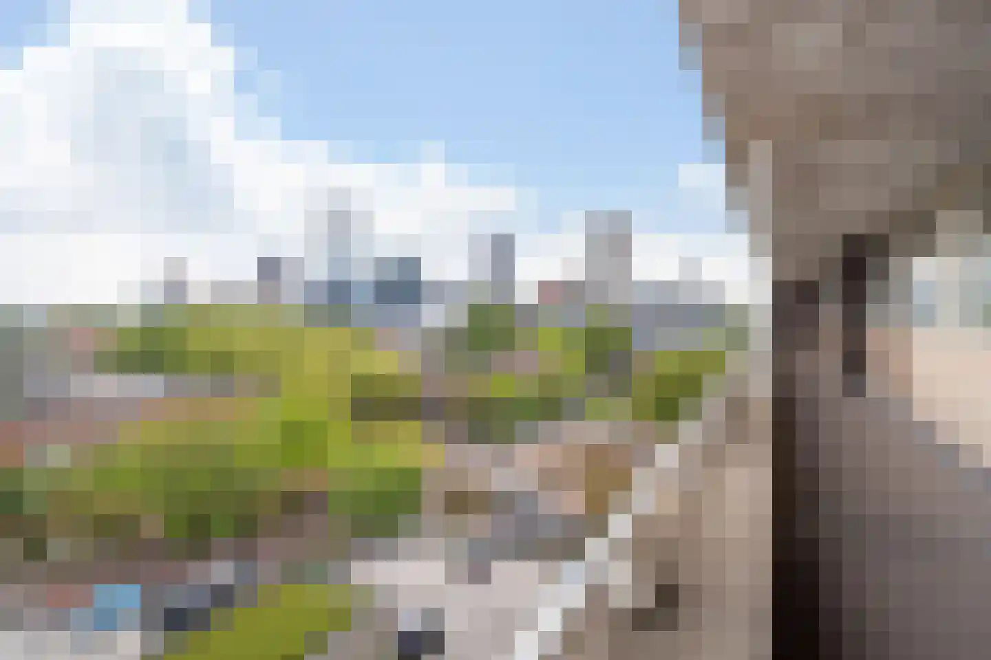Bentinckplein 100 Rotterdam thumbnail 5