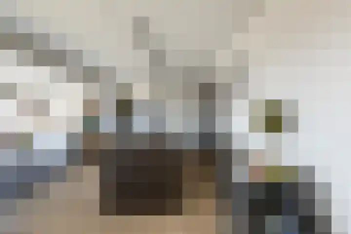 Bentinckplein 123 Rotterdam thumbnail 5