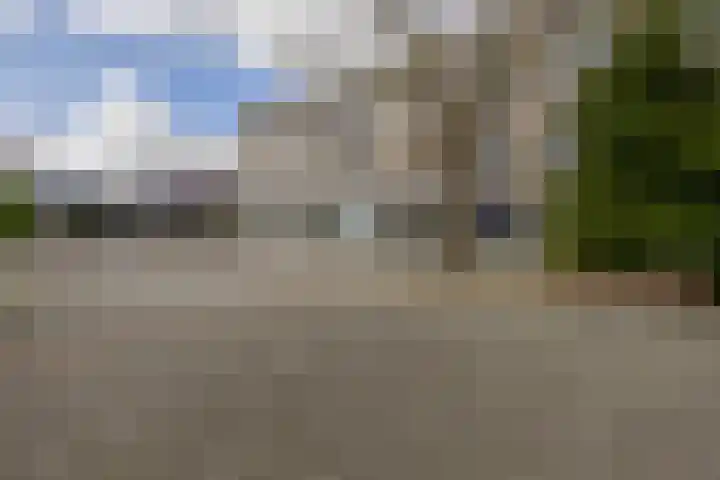 Bentinckplein 21 Rotterdam thumbnail 5