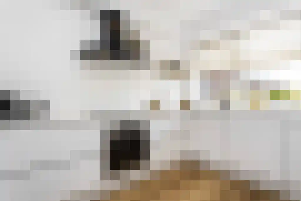 Bentinckplein 24 Rotterdam thumbnail 5