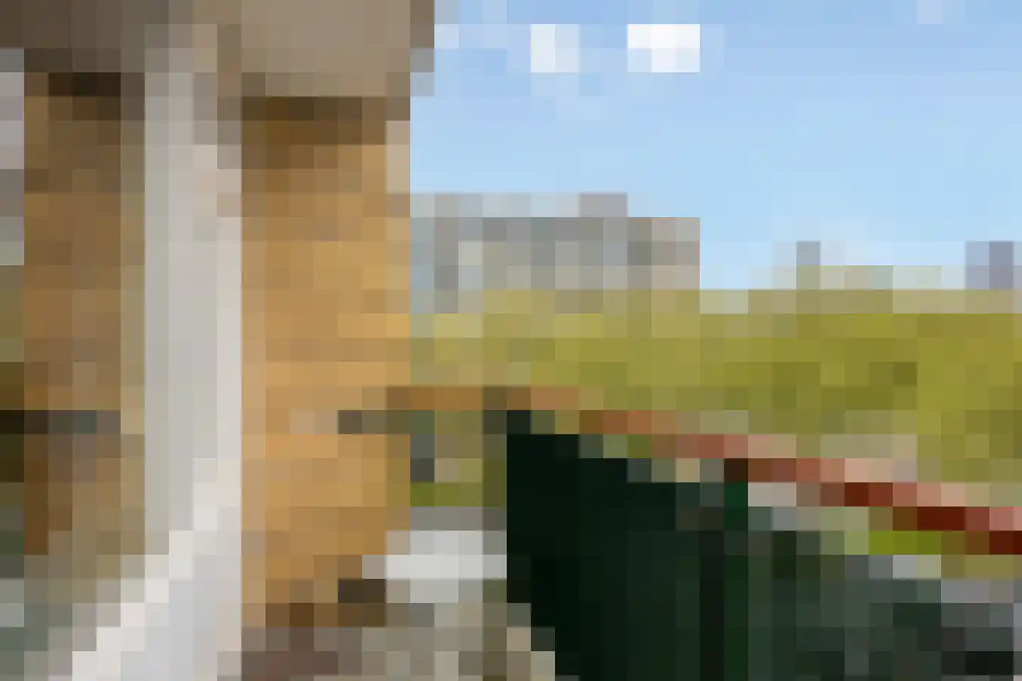 Bentinckplein 26 Rotterdam thumbnail 35