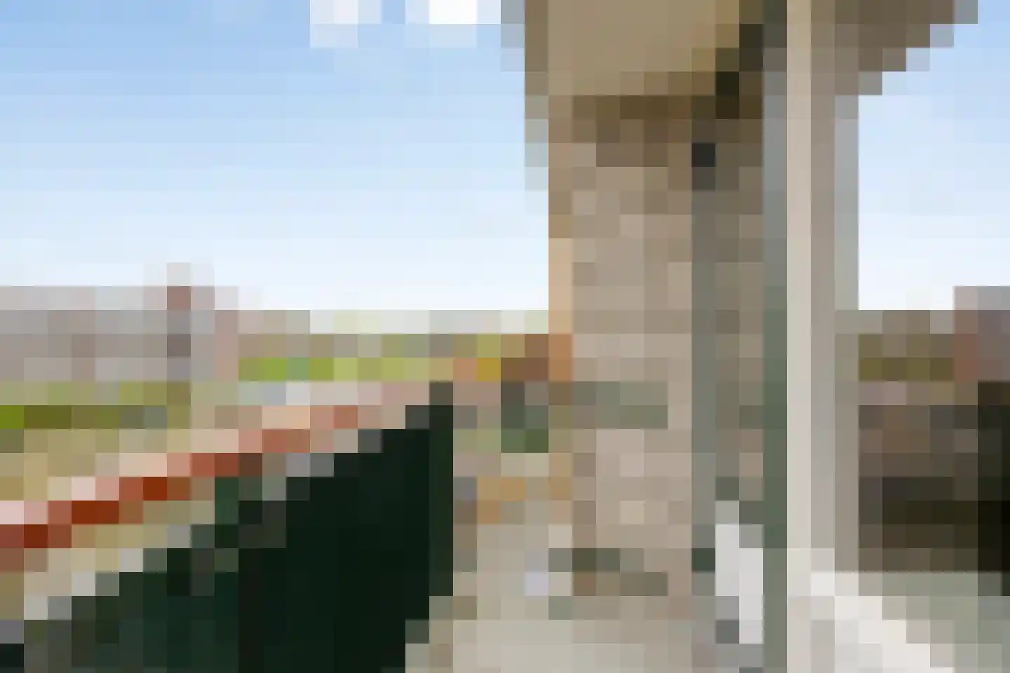 Bentinckplein 26 Rotterdam thumbnail 36