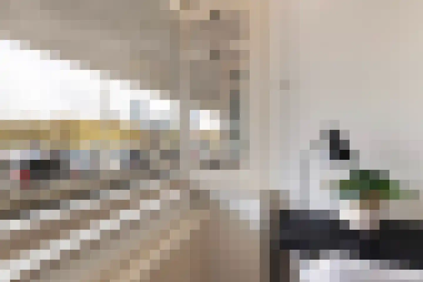 Bentinckplein 50 Rotterdam thumbnail 32