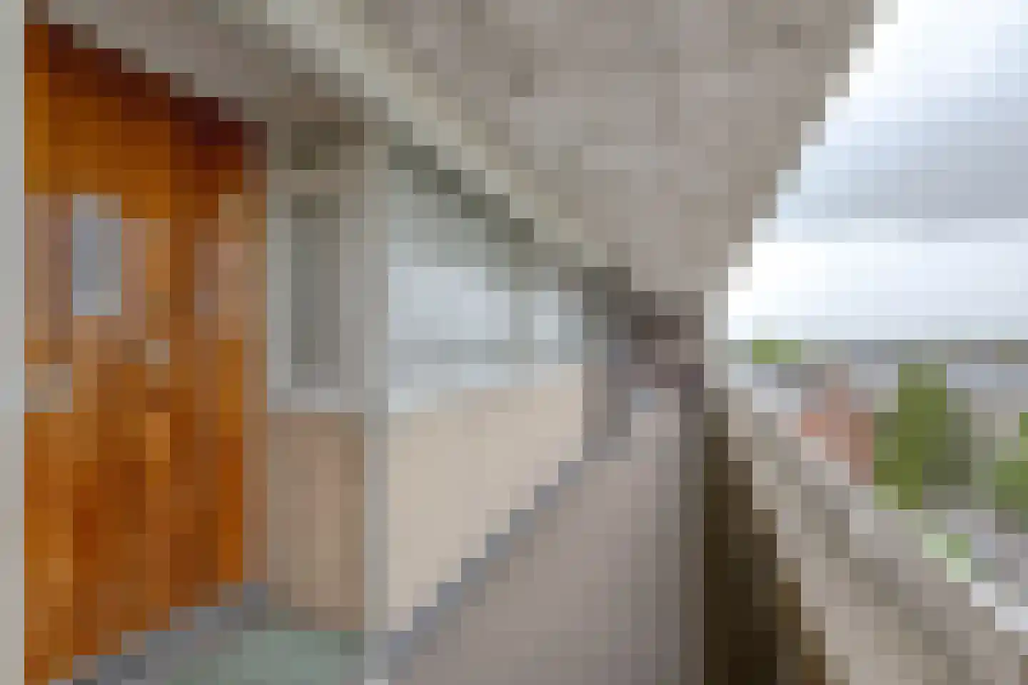 Bentinckplein 77 Rotterdam thumbnail 10