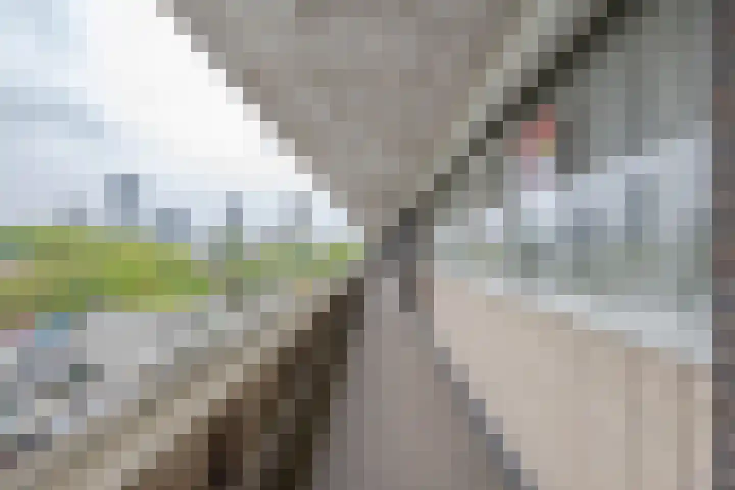 Bentinckplein 77 Rotterdam thumbnail 28