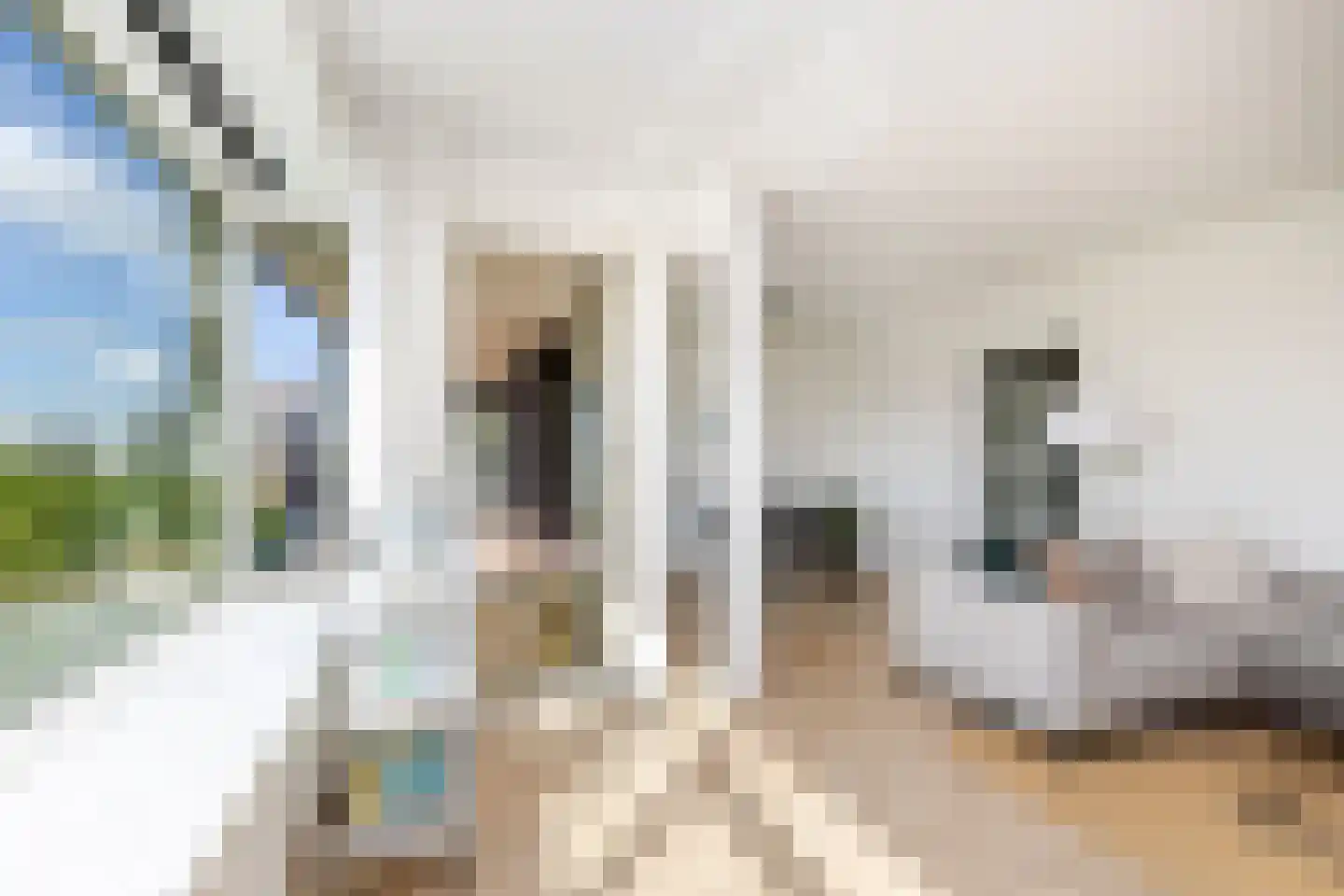 Bentinckplein 88 Rotterdam thumbnail 17